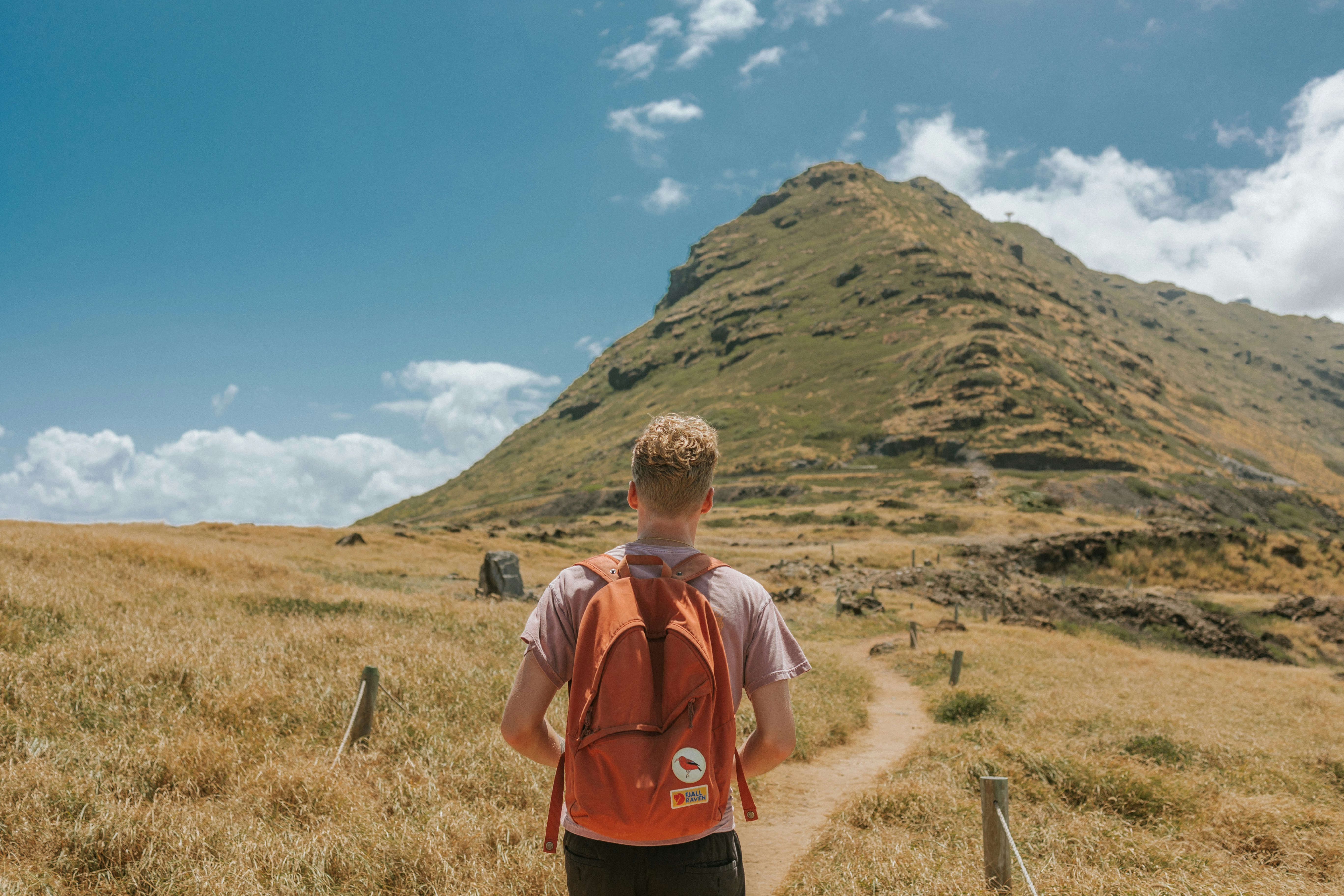 man in blue crew neck t-shirt and orange backpack standing on green grass field during